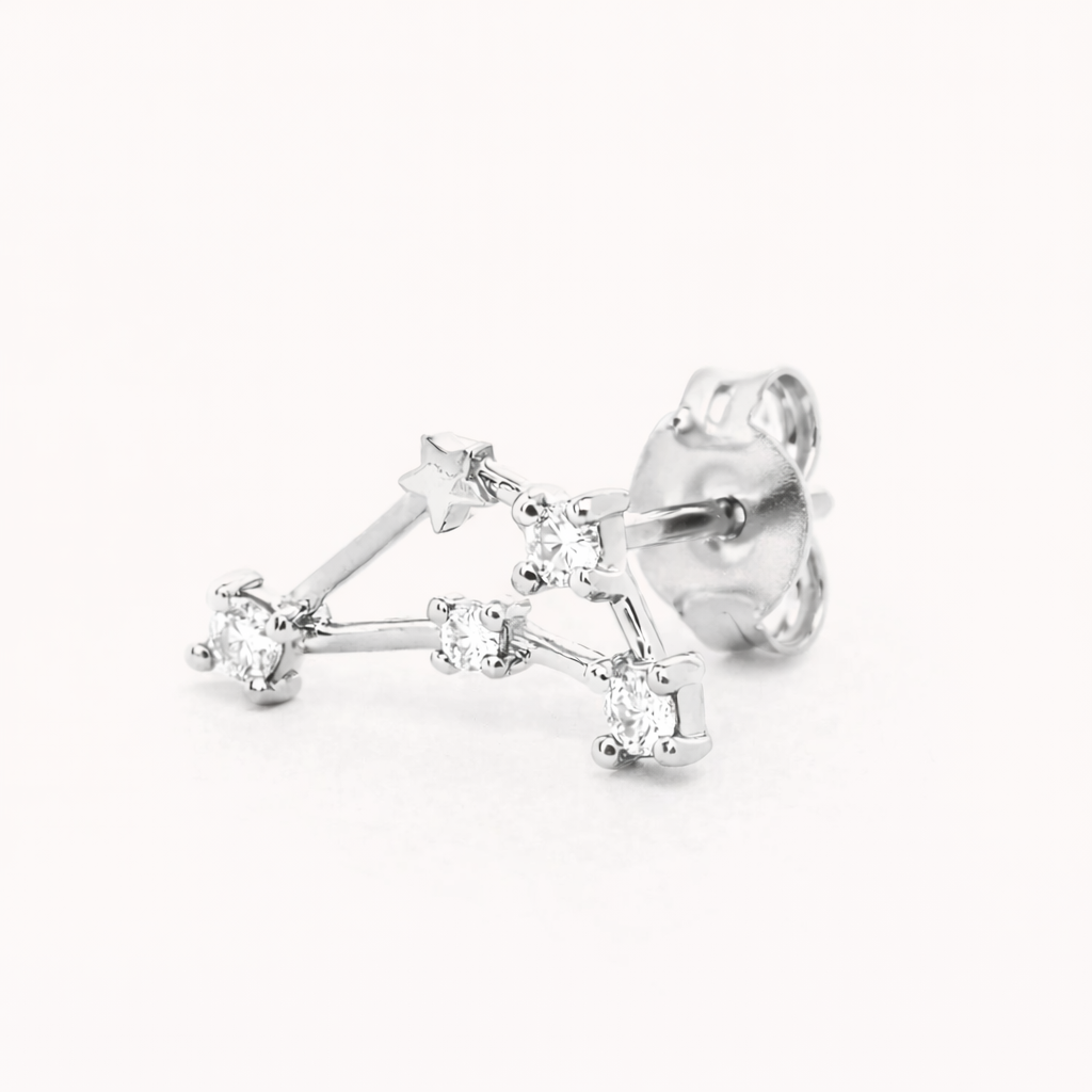 Horoscoop oorbellen